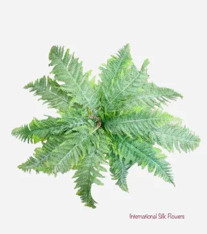 23'' Aquatic Fern Bush ( J015 )