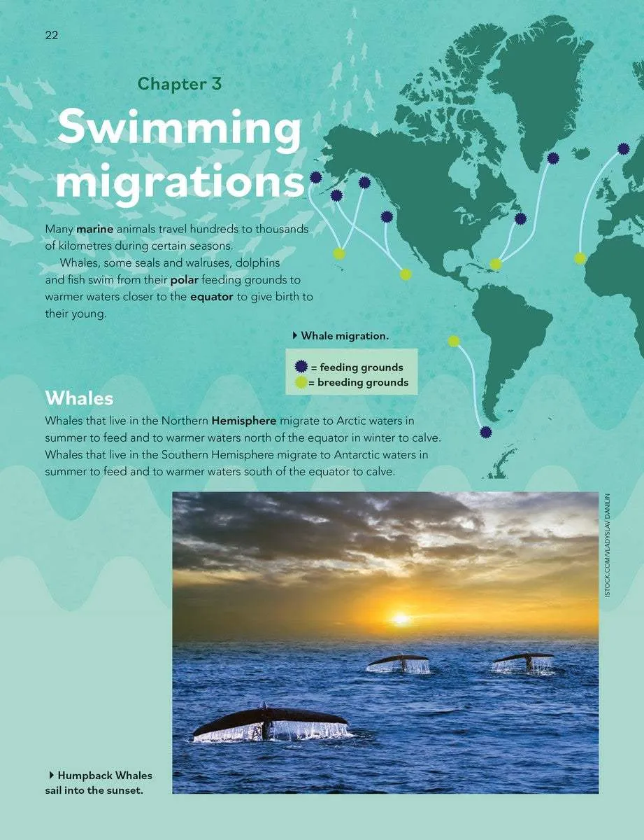 Animal Migrations: Flying, Walking, Swimming