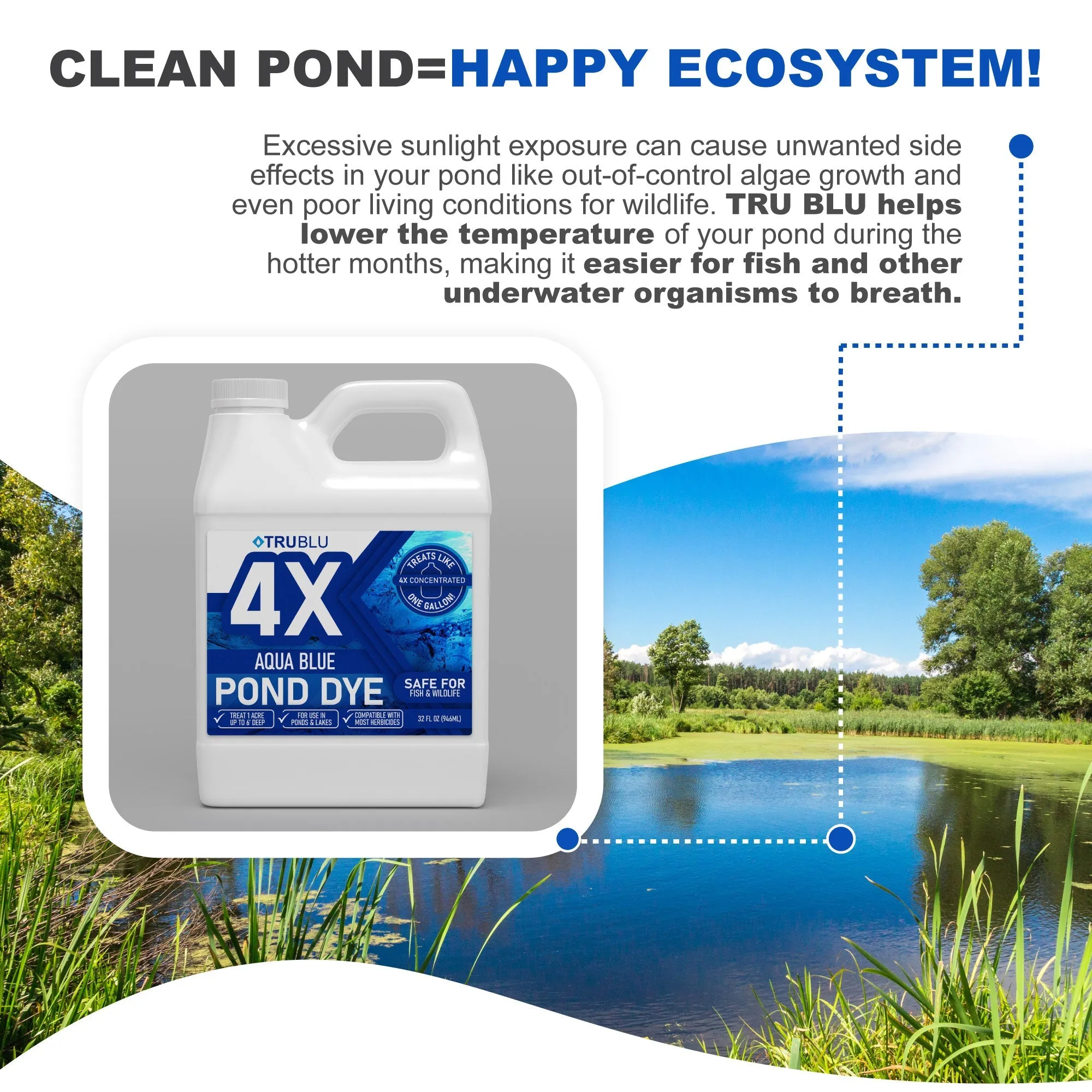 Complete Pond Rejuvenation Kit