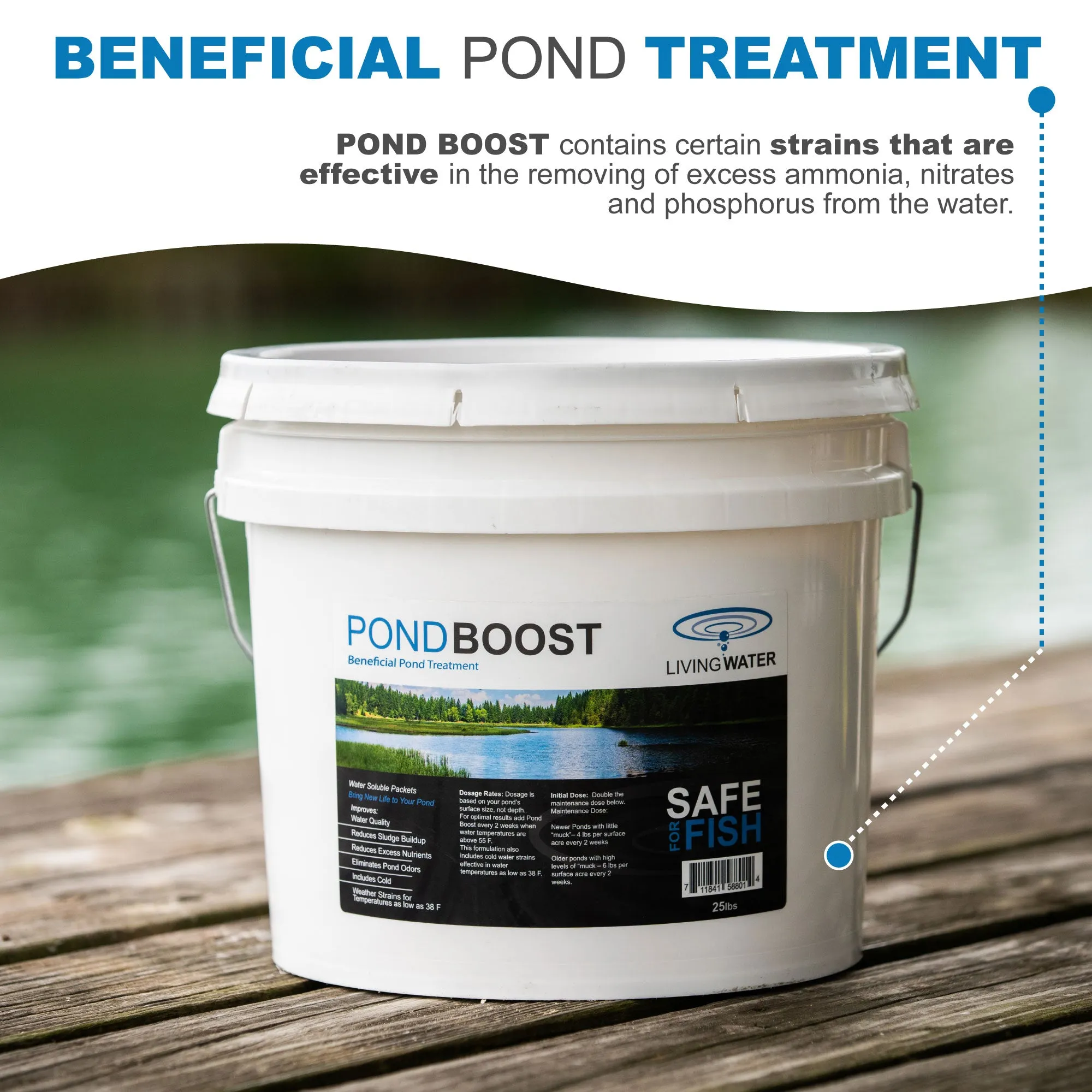 Complete Pond Rejuvenation Kit