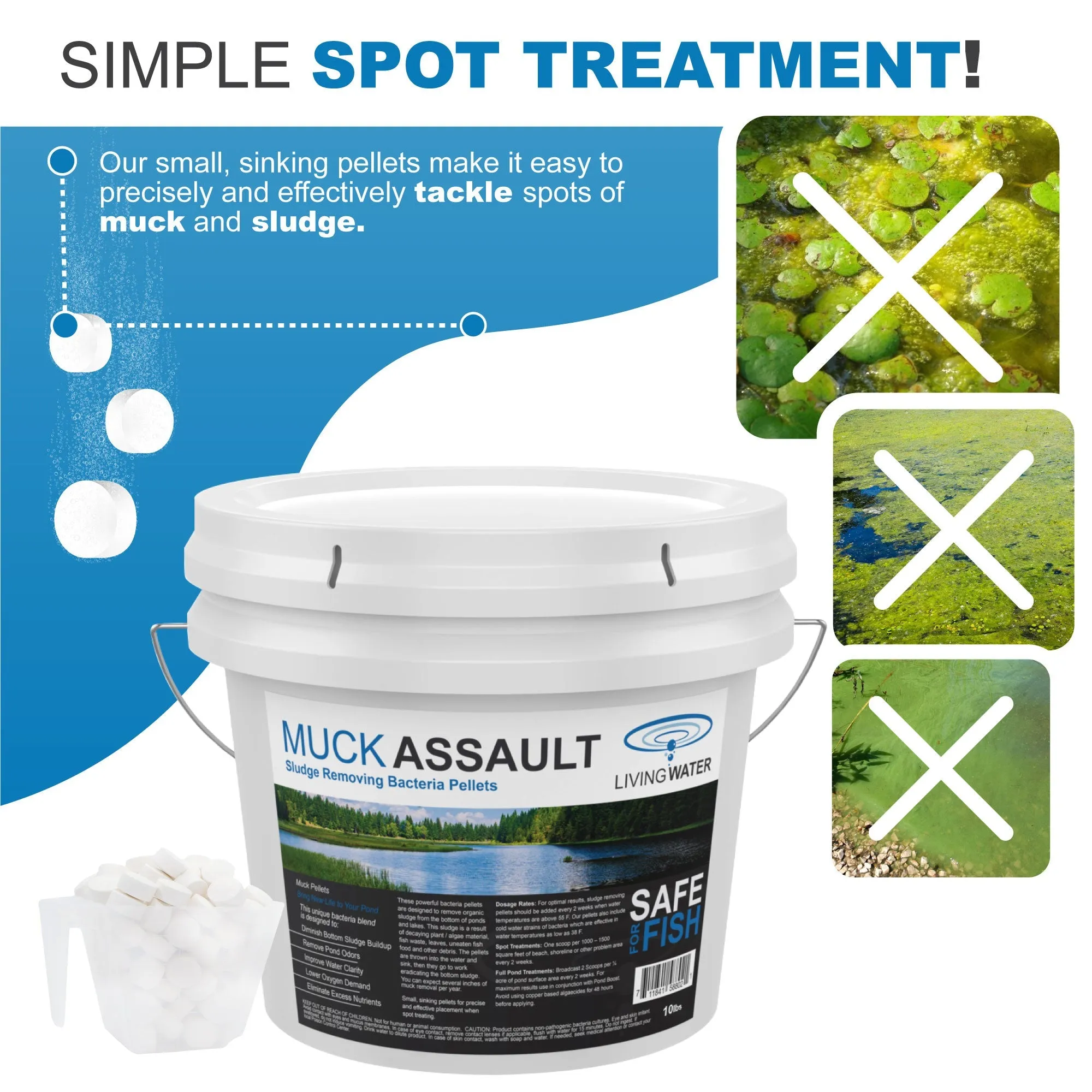 Complete Pond Rejuvenation Kit