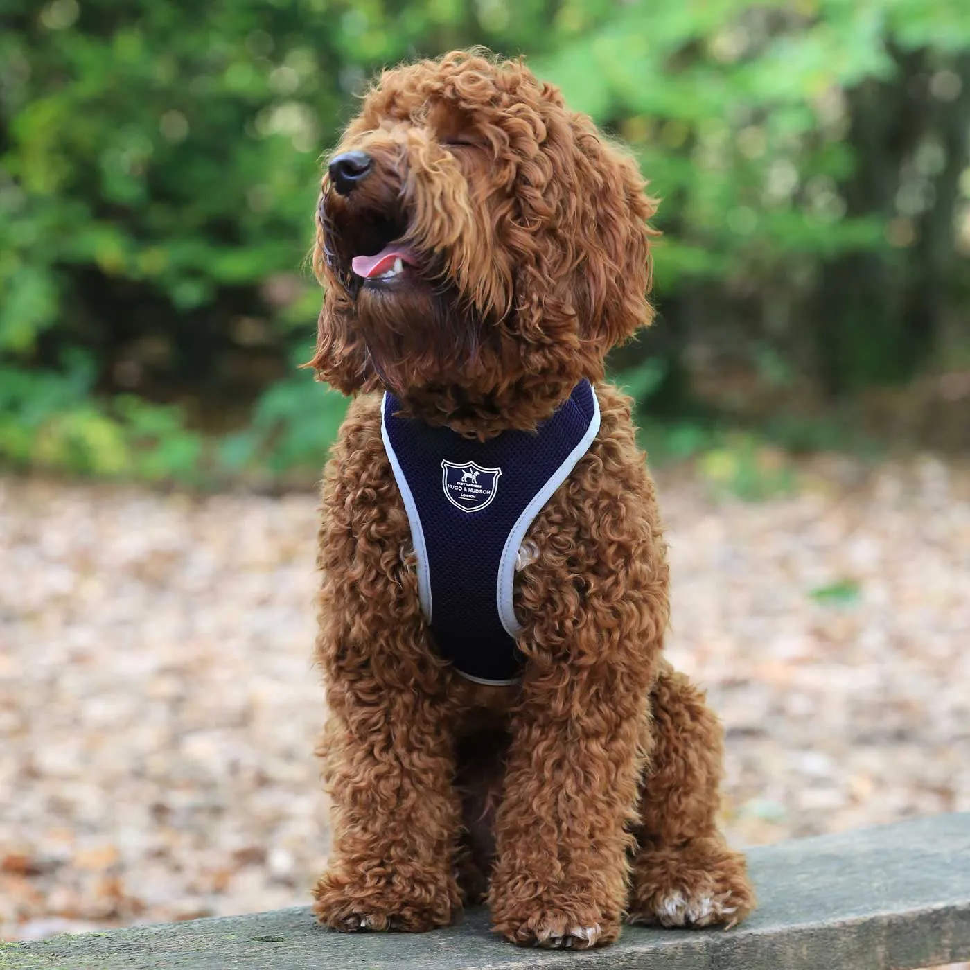 Hugo & Hudson Navy Mesh Dog Harness