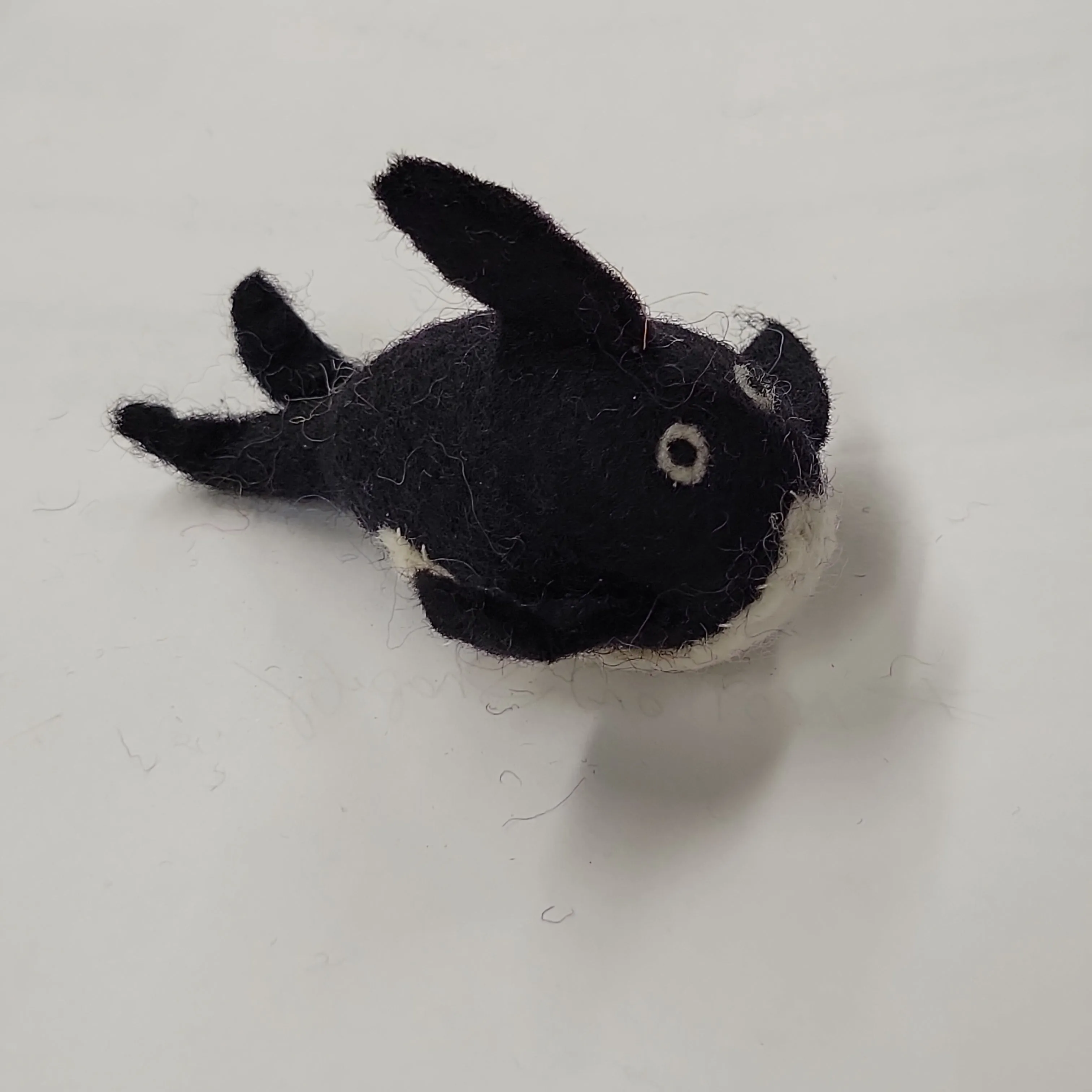 Karma Cat - Aquatic Wool Pet Toy