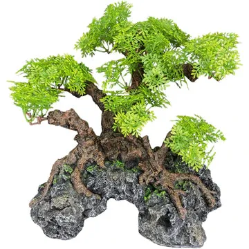 Komodo Bonsai Tree Large with Hide 10" x 10"