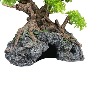 Komodo Bonsai Tree with Hide Large