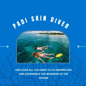 PADI Skin Diver Course