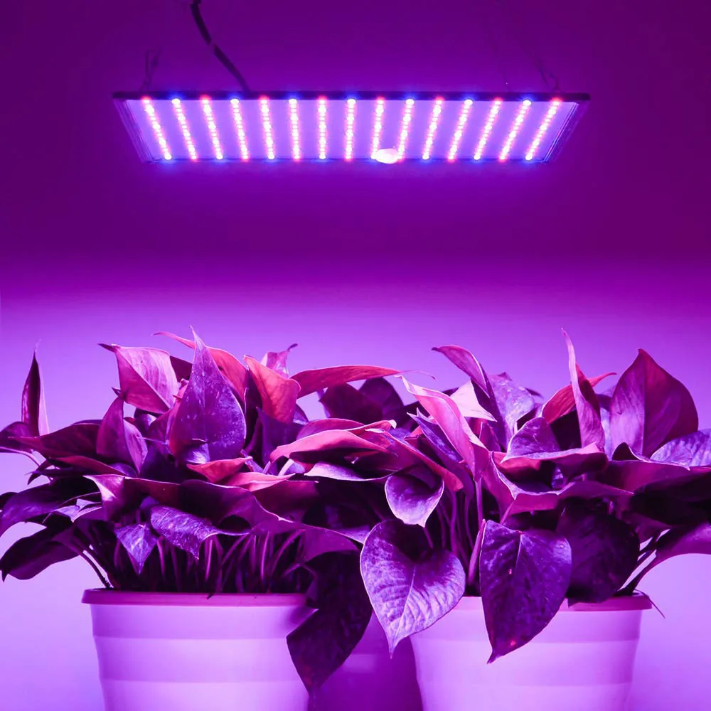 TheLAShop 225 Ultrathin Blue Red Lamp LED Plant Grow Light Panel