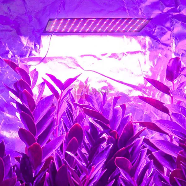 TheLAShop 225 Ultrathin Blue Red Lamp LED Plant Grow Light Panel