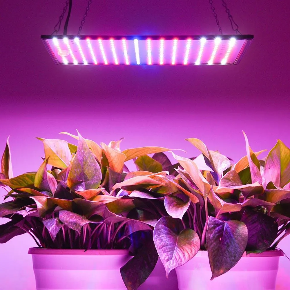 TheLAShop 225 Ultrathin Blue Red Orange White LED Plant Grow Light Panel